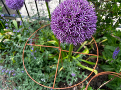 Heritage Circle Plant Support
