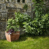 Heritage Duchess Cube Pot Planter - 2 sizes - Garden Pots