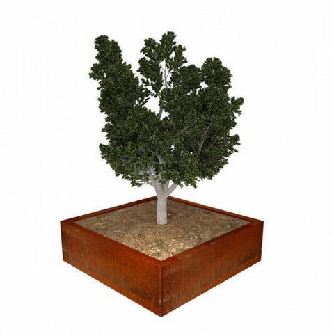 Square Raised Bed Corten Steel Planter - Heritage Gardens UK Online Garden Centre