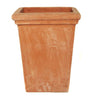 Terracotta Camelia Square Pot - Heritage Gardens UK Online Garden Centre