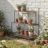 Lily Plant Stand - Antique Brown