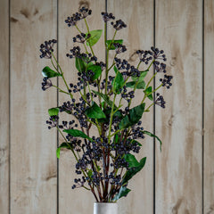 Viburnum Berry Stem