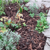 Landscaping Garden Bark Mulch - Heritage Gardens UK Online Garden Centre