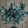 Seeded Eucalyptus artificial stem