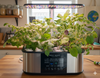 21 Pod Smart Garden Deluxe