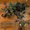 Variegated Eucalyptus artificial bouquet