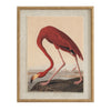 Flamingo on linen in beaded frame
