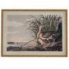 Curlews on linen in beaded frame
