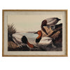 Pochards on linen in beaded frame