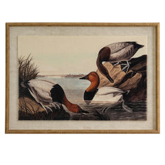 Pochards on Linen in Beaded Frame