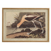 Avocet on linen in beaded frame