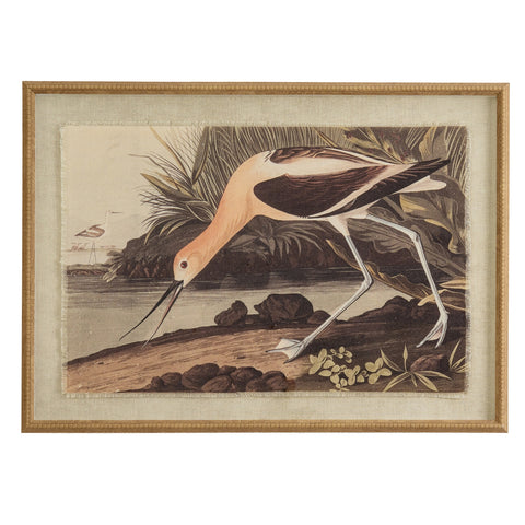 Avocet on linen in beaded frame