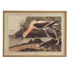 Avocet on Linen in Beaded Frame