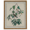 Warblers on linen in beaded frame