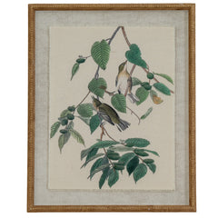 Warblers on Linen in Beaded Frame