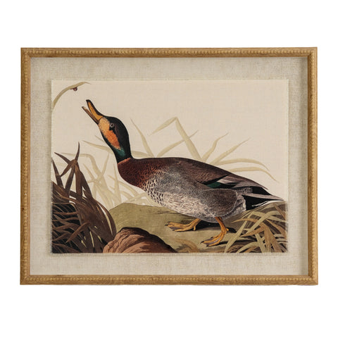 Duck On Linen In Beaded Frame
