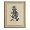 Beech Fern On Linen In Beaded Frame