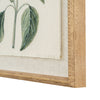 Salvia on linen in beaded frame