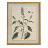 Salvia on linen in beaded frame