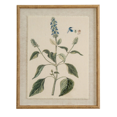 Salvia on linen in beaded frame