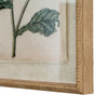 Borage on linen in beaded frame