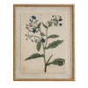 Borage On Linen In Beaded Frame
