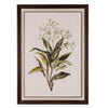 White wildflower on linen in frame