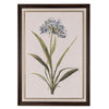 Blue wildflower botanical in frame