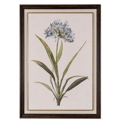 Blue Wildflower in Frame