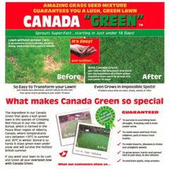 Canada Green Grass Seed - 1Kg