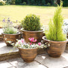 Antique Effect Planters - Set of 4