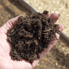 Wintermix Compost Garden Mulch - Heritage Gardens UK Online Garden Centre
