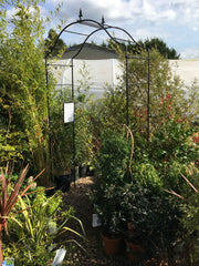 Arcadia Arch
