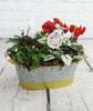 Festive Indoor Planter