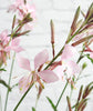 Gorgeous Gaura - Pink