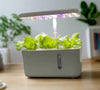 5 Pod Smart Garden Mini - Heritage Gardens UK Online Garden Centre