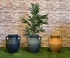 Athenian Terracotta Style Vase Planter