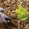 Landscaping Garden Bark Mulch - Heritage Gardens UK Online Garden Centre