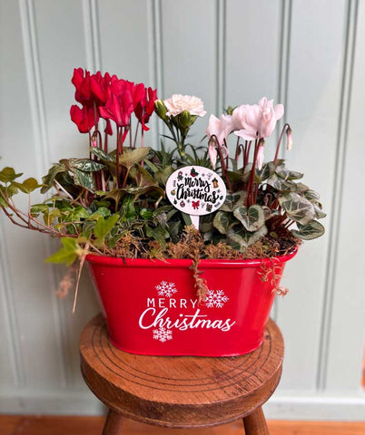 Red Merry Christmas Planter