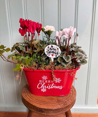 Red Merry Christmas Planter