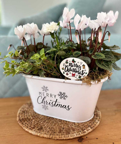 White Christmas Planter