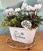 White Christmas Planter