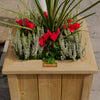 Heritage Small Wooden Planter - Pack of Two