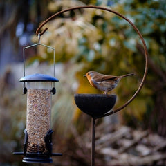 Freya Bird Crook
