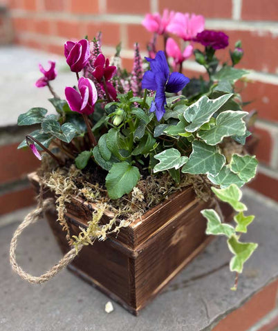 Autumn Planter