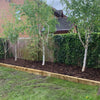 Landscaping Garden Bark Mulch - Heritage Gardens UK Online Garden Centre