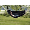 Barbados Black Hammock - Heritage Gardens UK Online Garden Centre