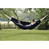 Barbados Black Hammock - Heritage Gardens UK Online Garden Centre