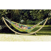 Barbados Lemon Hammock - Heritage Gardens UK Online Garden Centre