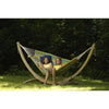 Barbados Lemon Hammock - Heritage Gardens UK Online Garden Centre